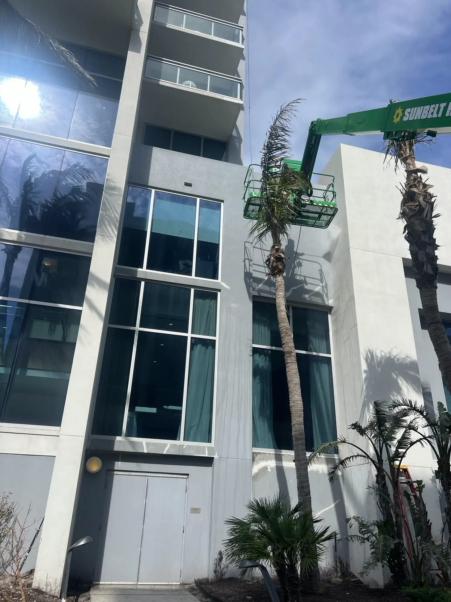 Tree Service
